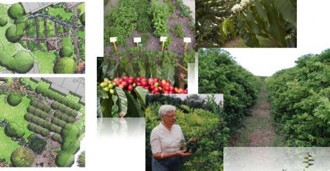 Kasa Luntian Herb Garden and Orchard