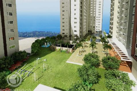 Landscape Plan Concept (Amenity Area – Sixth level)