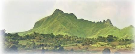 Nalé  at Sandari Batulao Mount Batulao